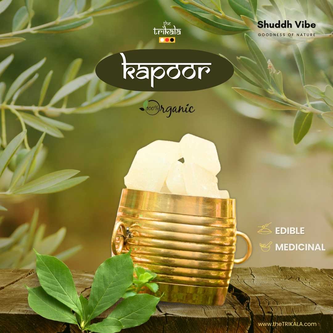 Organic Kapoor - Shuddha Vibe